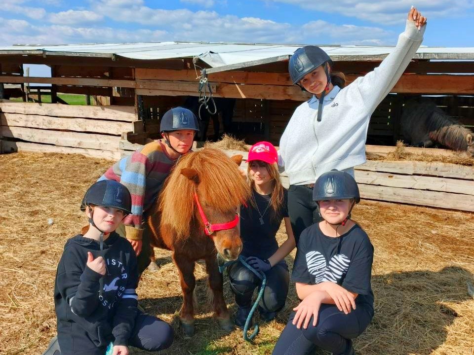 Пони-клуб появится в Херсонском центре физической культуры и спортивного досуга