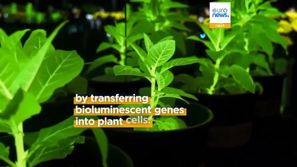 ��������� ������������� ������� ��������, ���������� � ������� ��� ���� � ��������