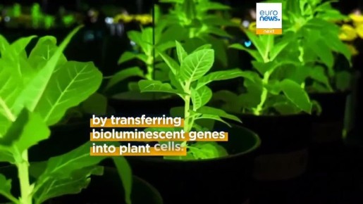 ��������� ������������� ������� ��������, ���������� � ������� ��� ���� � ��������