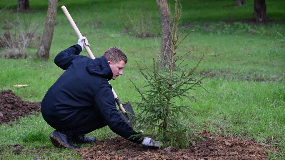 � ���������� ����� ����������� �������� 182 ���