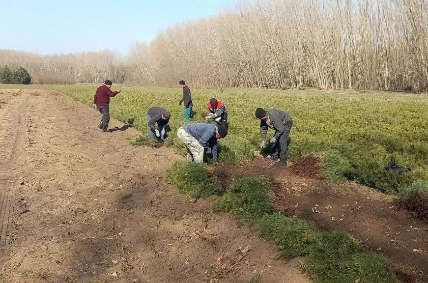 ���������� ������� ��������� 60 ����� ������� ����� �������� � ���