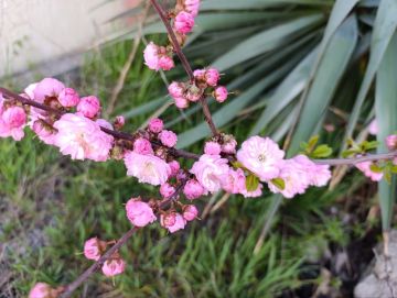 ������ ����, ������ ���������� �������������� ������!