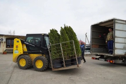 ���������� ������� � �������� ��� ��������� �� �������������� ����