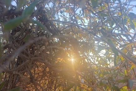 ����� ����� ������ � ���������� ������� 7 ������ 2026 ����