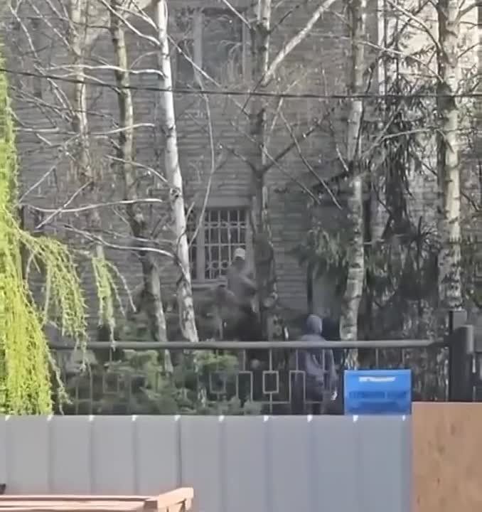���������������. ��������-����� ���������� �������