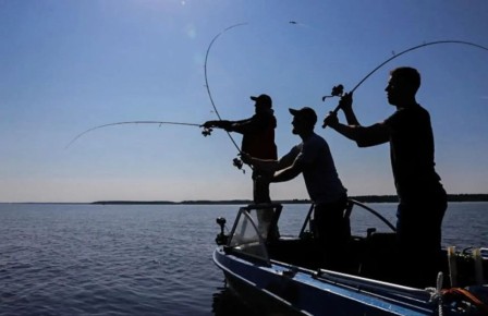 ������ ��������� ��� ������������� �����������