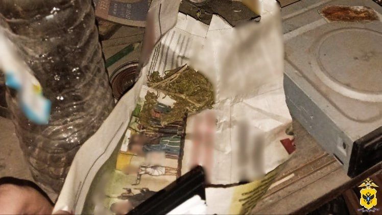 ������ ������������� ������ ������ �� ���� ��� ������� ������� �� ���������� ������ ����������