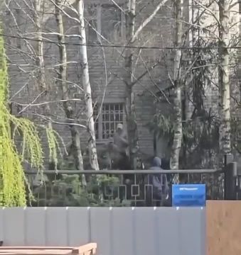 ���������������. ��������-����� ���������� �������