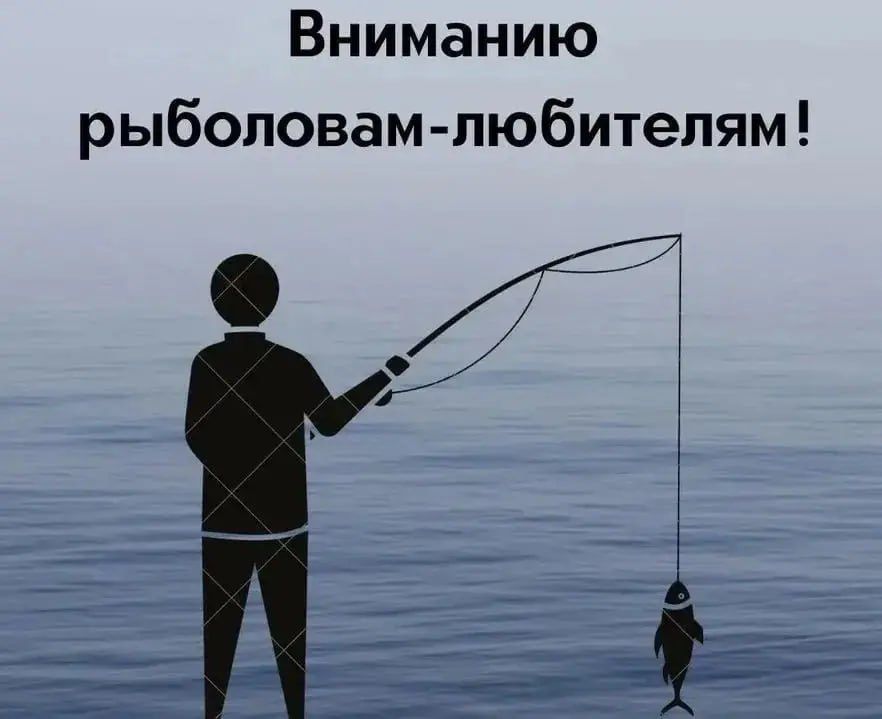 ������� ���������-���������