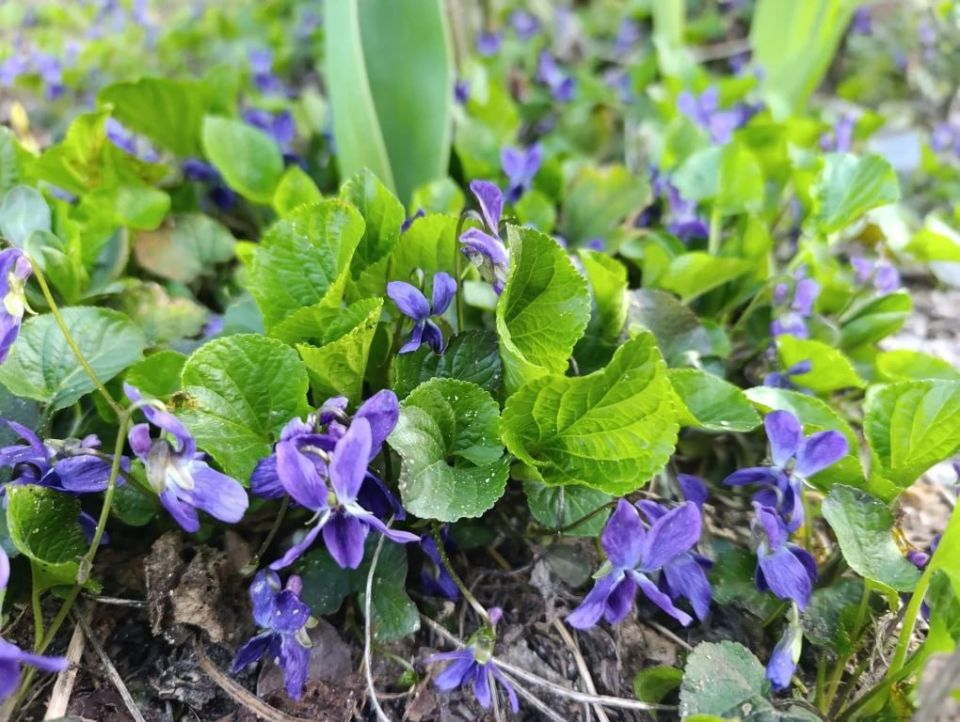 ���� ��������: ������ ����, ������ � ����� ����������� ������!