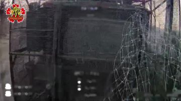 ����� ������ 56 ����� �����