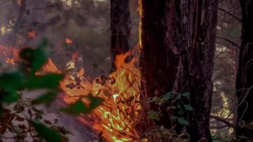 #��������. ������������ ���������� � ����! @mchskherson ������������ �� ��� ������ �