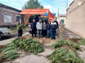 Херсонская область передала ЛНР 60 тысяч сеянцев сосны крымской