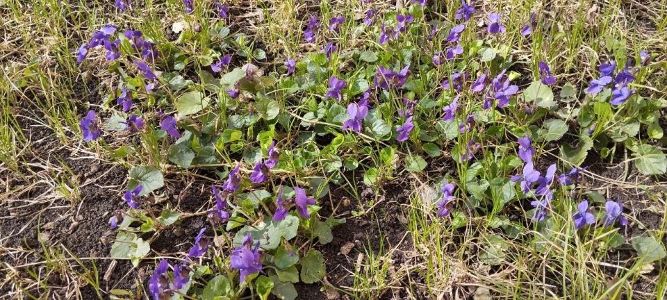 ��� � ����� �� � �����.... ������� ������� ���������� ����� � ��� ���������� ��������, ������� ��� ��� �����