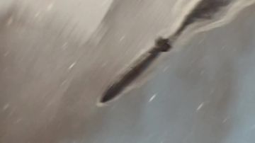 ПРЕМЬЕРА КЛИПА. ЗВЕРОБОЙ : "Когда с войны они придут"