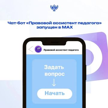 В мессенджере МАХ доступен новый инструмент поддержки педагога