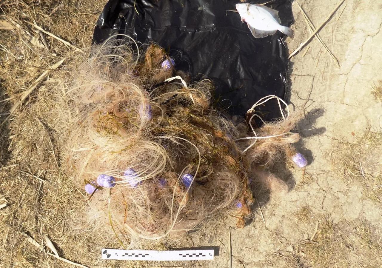 В Херсонской области транспортные полицейские пресекли несколько случаев браконьерства в рамках операции "Путина" В Херсонской области транспортные полицейские пресекли несколько случаев браконьерства в рамках операции "Путина"