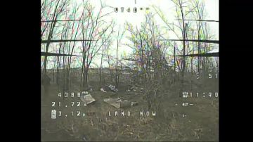 ���� ������ �������� � ����� � ���� ������