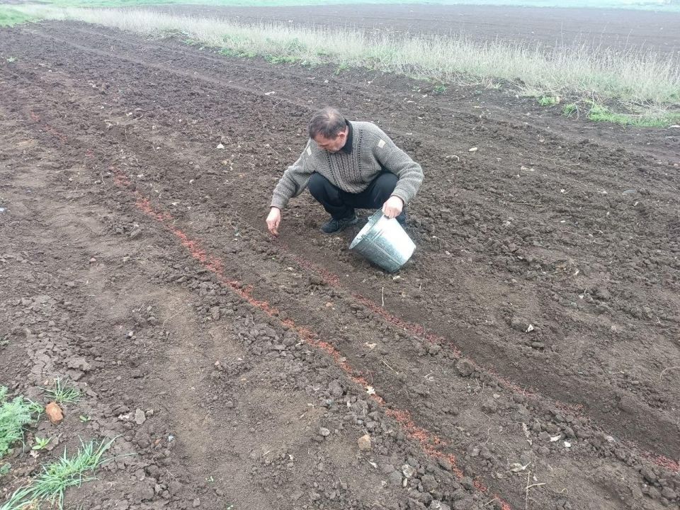 � ������������ ��������� ������� ����� ����������