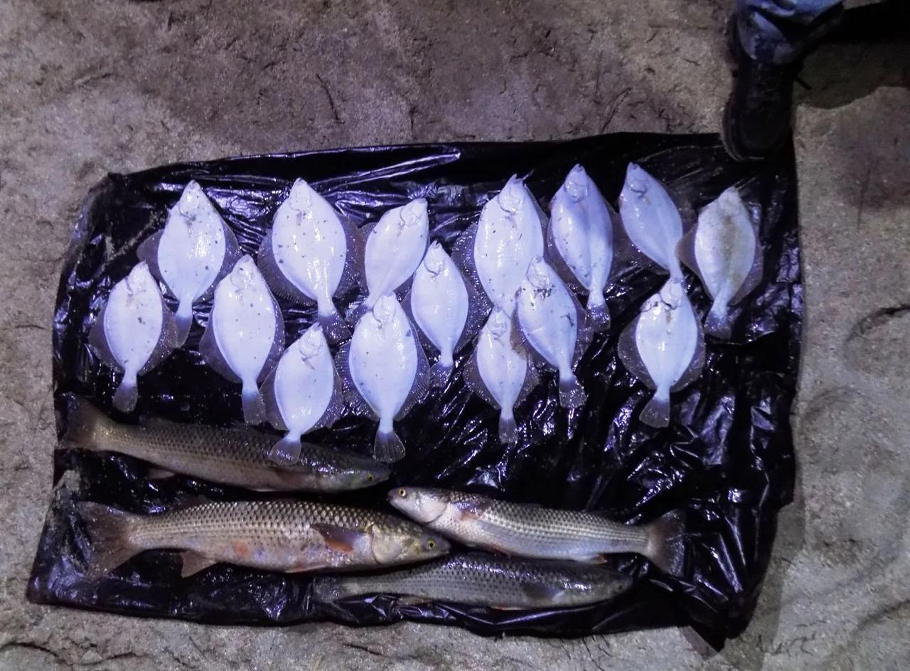 В Херсонской области транспортные полицейские пресекли несколько случаев браконьерства в рамках операции "Путина" В Херсонской области транспортные полицейские пресекли несколько случаев браконьерства в рамках операции "Путина"