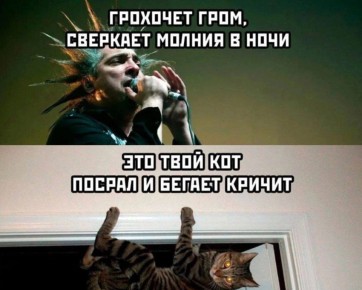 Михаил Круг, Баста и «Король и шут» стали любимыми исполнителями россиян за последние полгода