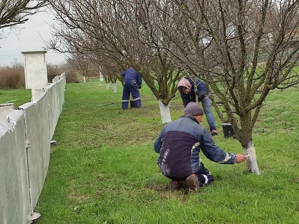 Евгения Кузьменко: На территории Новотроицкого муниципального округа в самом разгаре весенние преобразования Евгения Кузьменко: На территории Новотроицкого муниципального округа в самом разгаре весенние преобразования