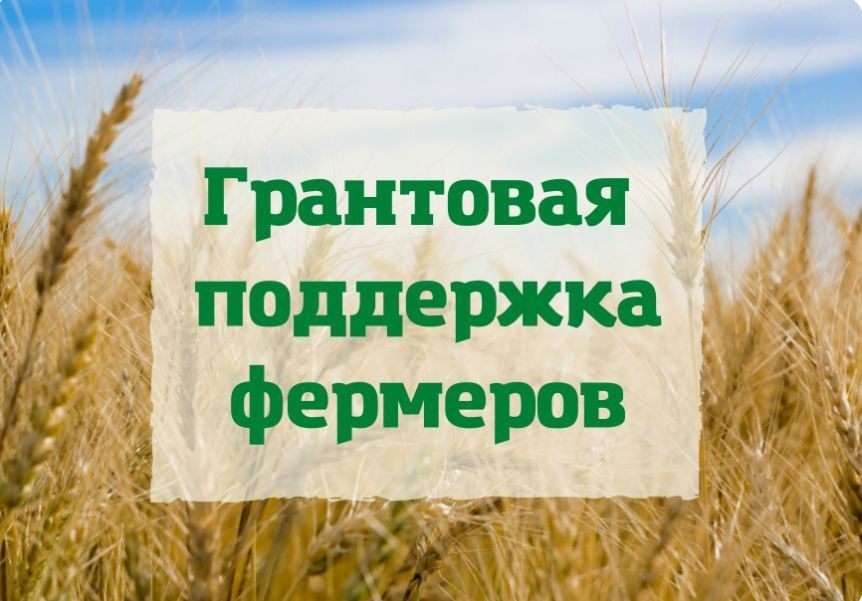 Контроль, качество и результат: первый этап гериатрического центра завершён Контроль, качество и результат: первый этап гериатрического центра завершён