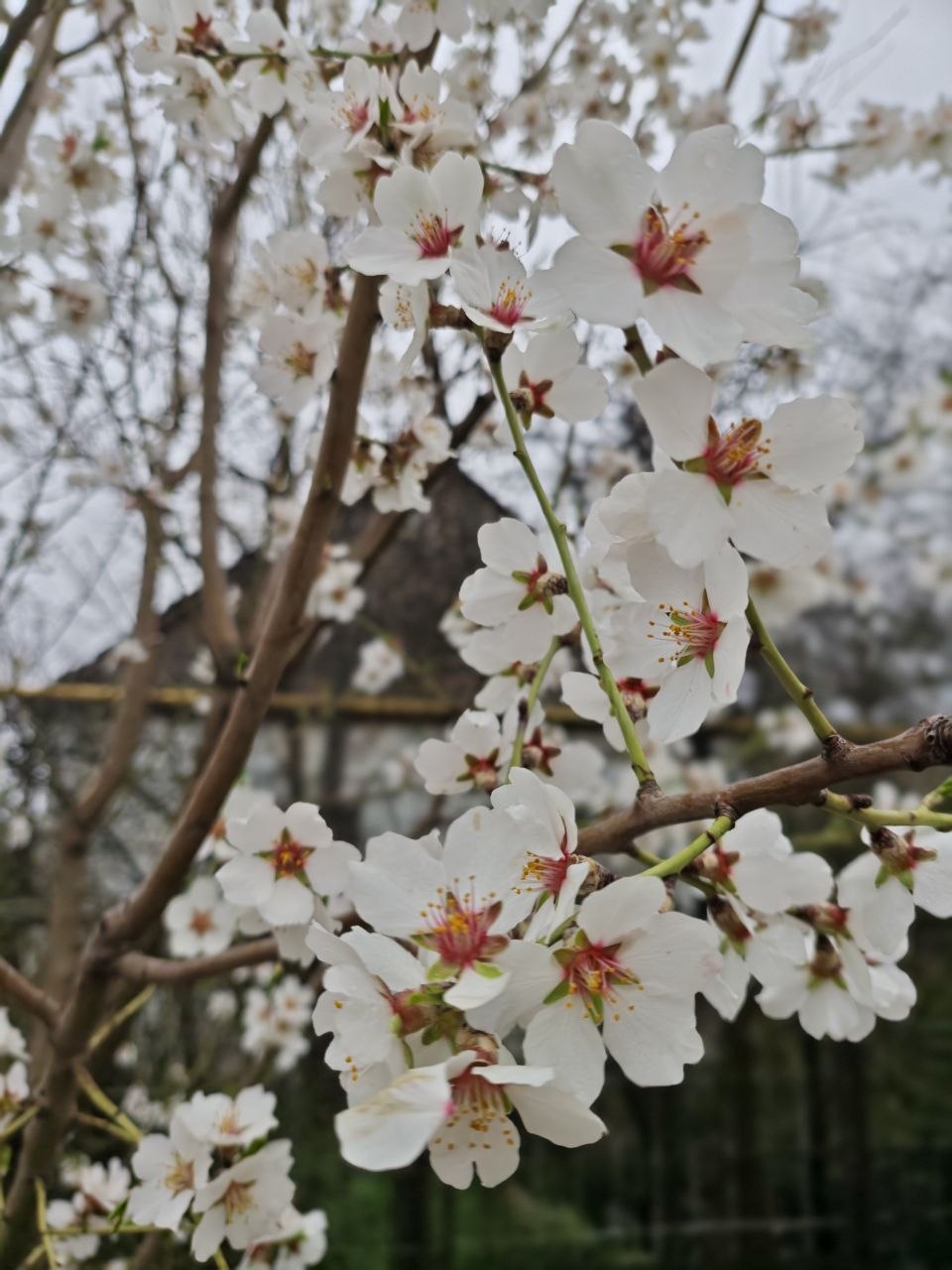 Доброго утра, друзья!. Вот и наступил новый день Доброго утра, друзья!. Вот и наступил новый день