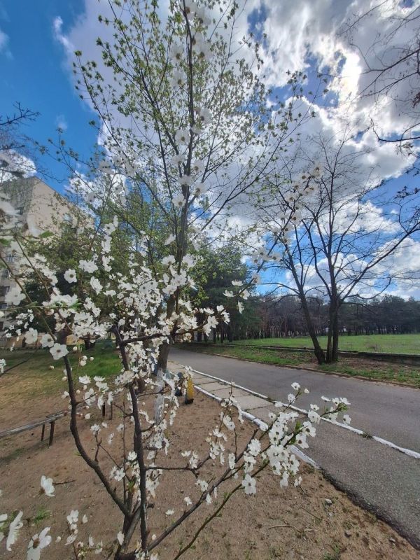 ������ ����, ����������!. � ����� ���� �����