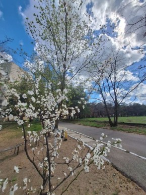 ������ ����, ����������!. � ����� ���� �����