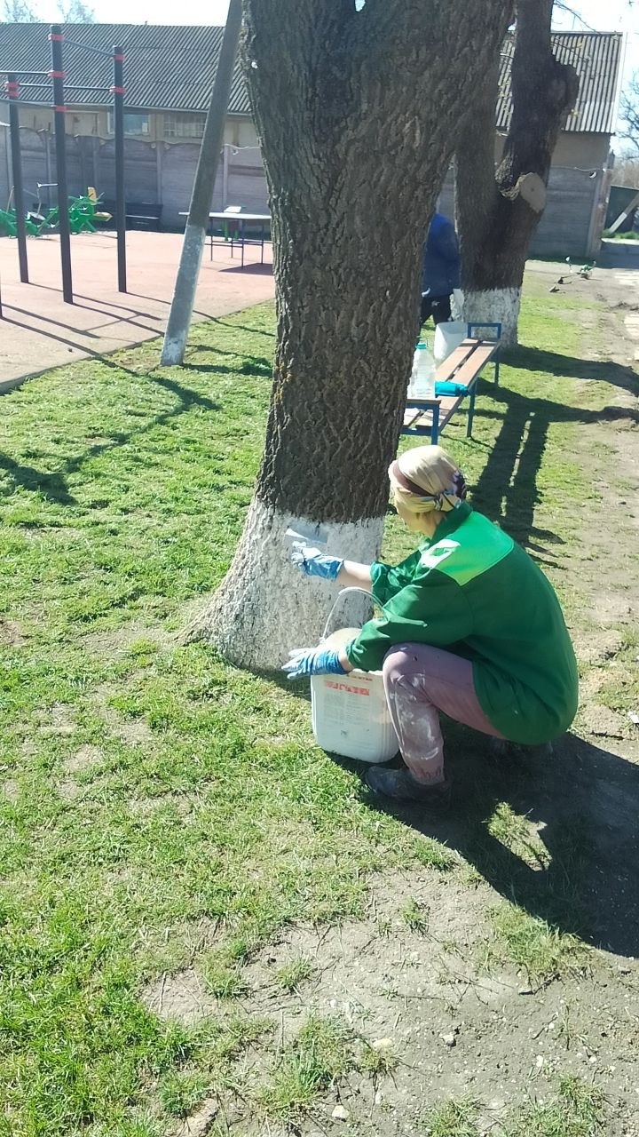 Евгения Кузьменко: На территории Новотроицкого муниципального округа в самом разгаре весенние преобразования Евгения Кузьменко: На территории Новотроицкого муниципального округа в самом разгаре весенние преобразования