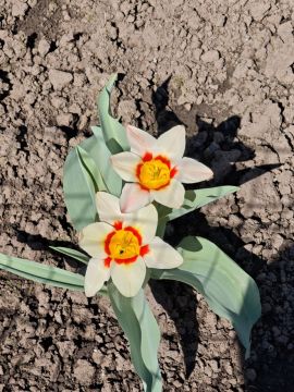 Доброго утра, друзья!. Вот и наступил новый день