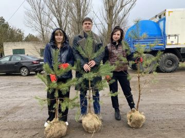 � ����������������� ������������� ������ ��������� ���������� ���������