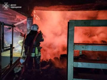 ����� �� ������: ���������� �������� �������, ����, ���������� ������