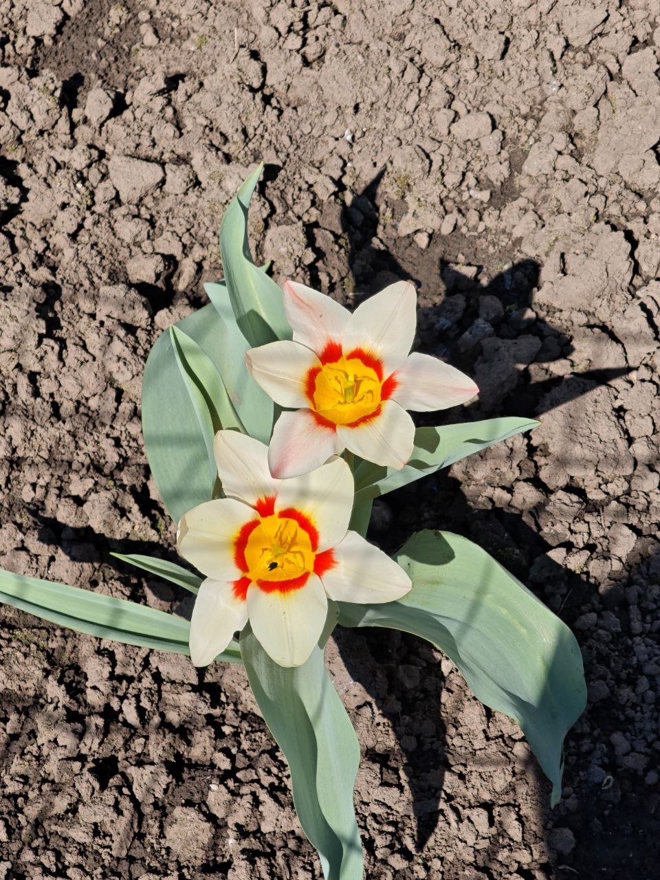 Доброго утра, друзья!. Вот и наступил новый день