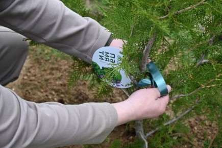 � ���� ���������� ������ ����� ���� ������, ����������� ������ �������� � ���������� ��������