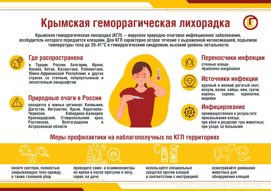 Чем опасна Крымская геморрагическая лихорадка (КГЛ)? КГЛ — это редкое, но серьёзное вирусное заболевание