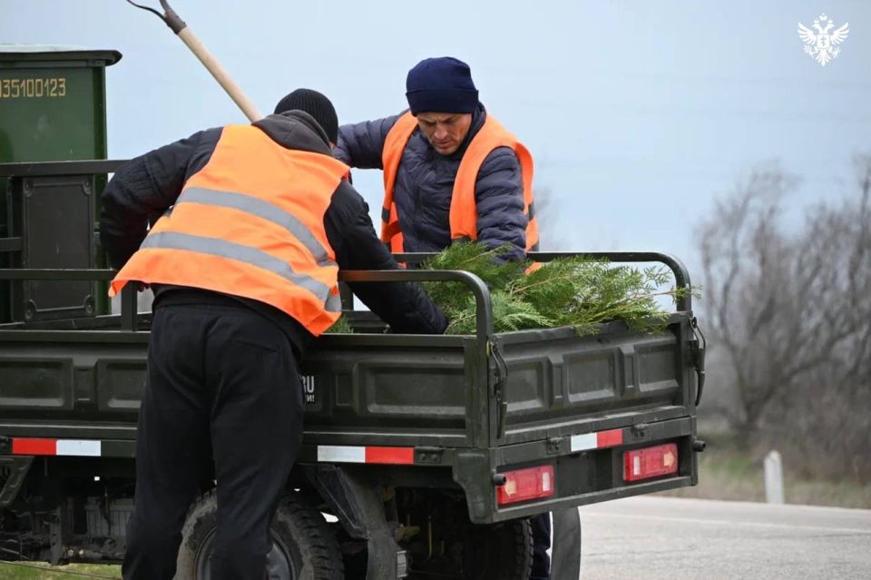 Двадцать туй высадили у мемориала и могилы Неизвестного солдата в Геническом округе Двадцать туй высадили у мемориала и могилы Неизвестного солдата в Геническом округе