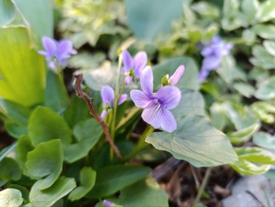 Доброе утро, Каховский округ!