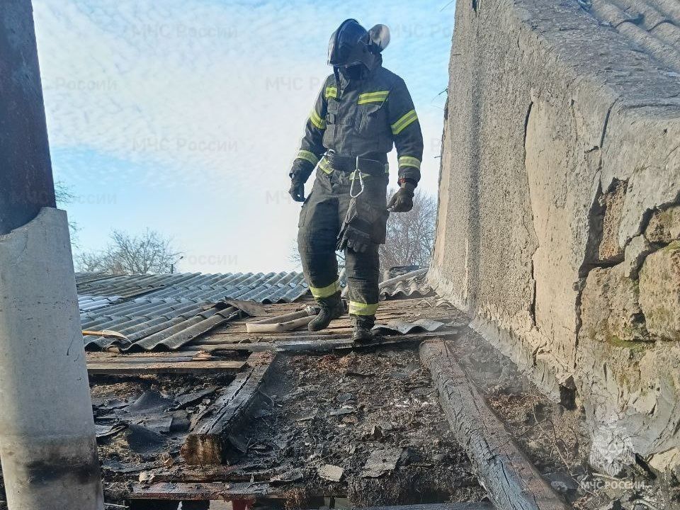 �� �������� ����� �������-������������ ������������� ��� ���������� �������: