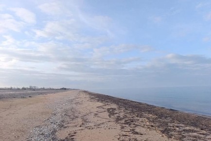 ��������� ����� ������������: ����� ����� ������ � ���������� ������� 9 ������ 2026 ����