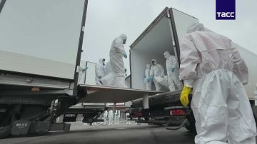 ������ � ������� ������� ��������� ����� ������ �������� �������