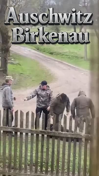 ���� �� �������: ������ ����������, ������ ���������� �������������� ������ � ��������� ������� ����������� ��������� ������