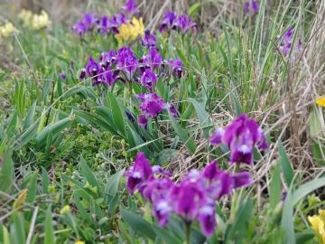 ����� ����������: ����� �������� � ���� �����