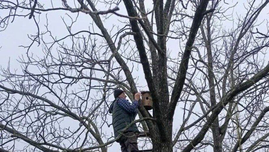 ������������� ��������� ��� ������ ���� �������� � ���������� �������