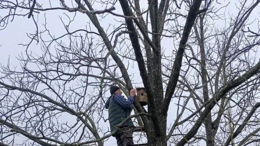 Искусственные гнездовья для певчих птиц повесили в Херсонской области