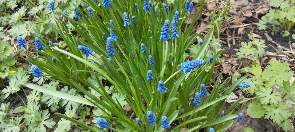 ������� ����� � �����