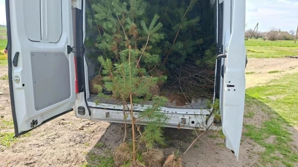 ��� �� ������� � ������ ������ ����� �����