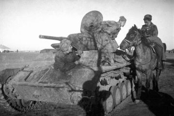 ���������� �����: ���� ������������ ���������� ������� � ������, ������������ ���������