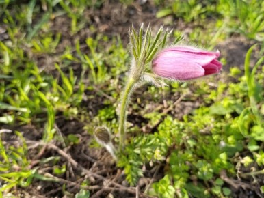 Доброе утро, жители Каховского округа!